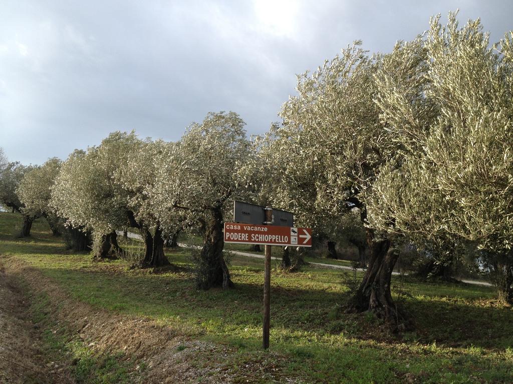 Podere Schioppello Casale Con Appartamenti Privati Cibottola Room photo